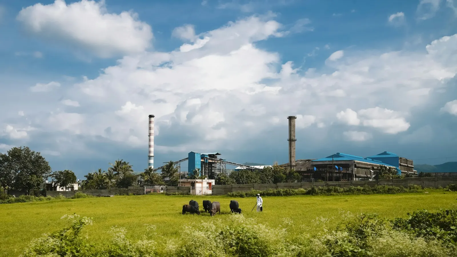 Pollution Control Board Consent in India: One Law, Many State Boards